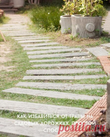 Как избавиться от травы на садовых дорожках. Простой способ!