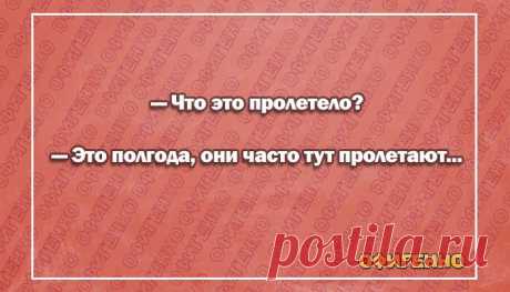15 веселых открыток о нашей жизни. Что ни фраза, то настоящий перл!