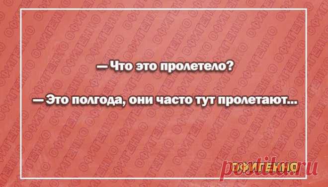 15 веселых открыток о нашей жизни. Что ни фраза, то настоящий перл!
