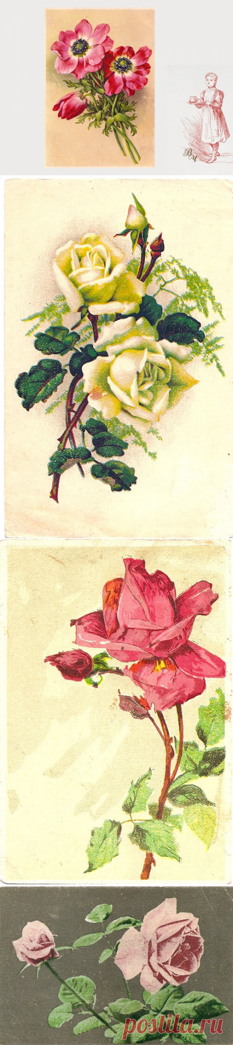 Я из прошлого века – мне больше нравится язык цветов вместо смайликов и эмодзи!
Поговорим на языке цветов за чашкой «Вечернего чая»! «Люблю тебя» — нА тебе сердечко❤ ️! «Волнуюсь» – колобок с опущенными уголками рта . «Злюсь» – нА тебе сердитое эмодзи … В общем, цифровизация значительно упростила нам процесс общения и передачи чувств и эмоций. Мне кажется, что молодежь сегодня вообще может в онлайне общаться одними только […]
Читай дальше на сайте. Жми подробнее ➡