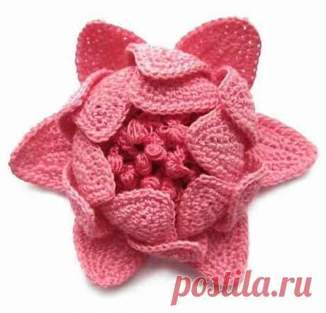 шикарные бабочки, цветы и стрекоза крючком