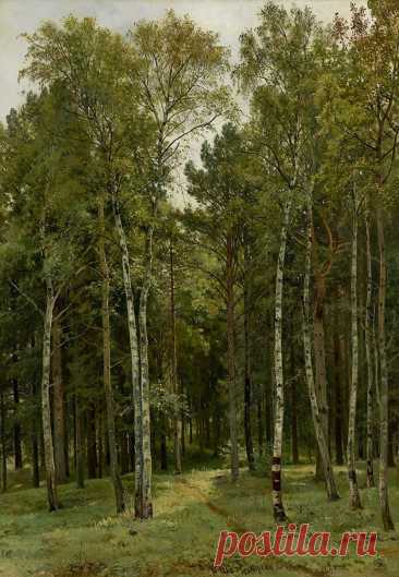 Художник Иван Иванович Шишкин (1832-1898).
"Мерекюль - На даче", 1884 г.