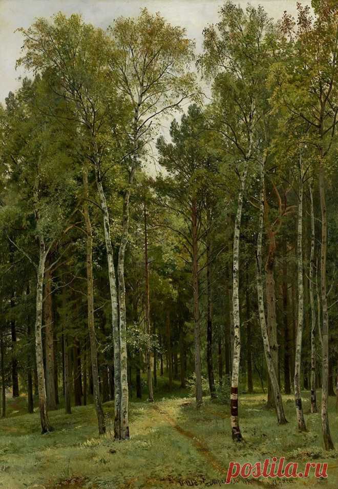 Художник Иван Иванович Шишкин (1832-1898).

