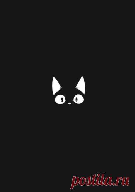 Котики (трафик) / Тенденции / ВТОРАЯ УЛИЦА