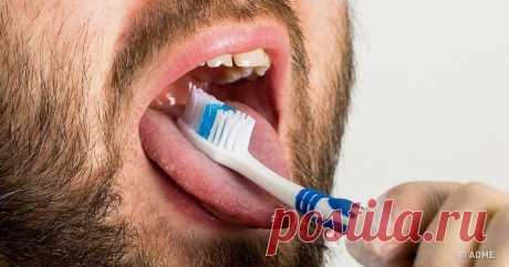 У храпа может быть множество причин, но самая распространенная из них — это отек корня языка. Из-за отека языка дыхательные пути сужаются, и выходящий воздух заставляет ткани носоглотки вибрировать. Чтобы уменьшить отек языка и освободить дыхательные пути, врачи разработали специальную технику, которая избавляет от храпа на всю ночь. AdMe.ru подробно расскажет, как ее выполнять.