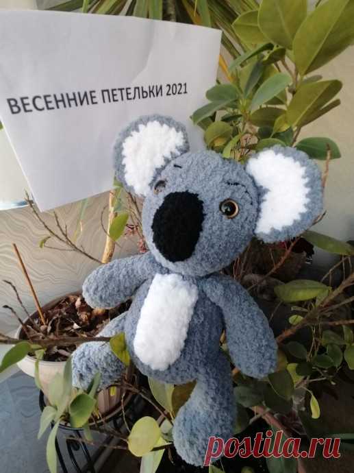 Малышка Коала