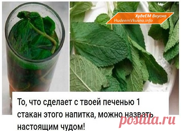 То, что сделает с твоей печенью 1 стакан этого напитка, можно назвать настоящим чудом! | Худеем Вкусно