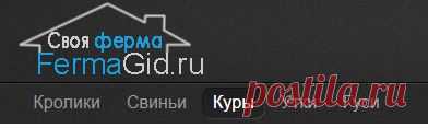 Содержание, кормление, болезни