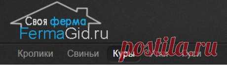 Содержание, кормление, болезни