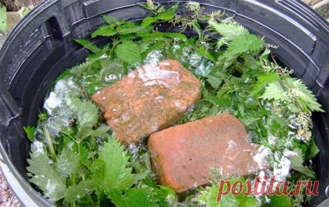 (4) Одноклассники