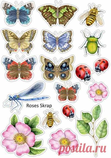 (115) Pinterest