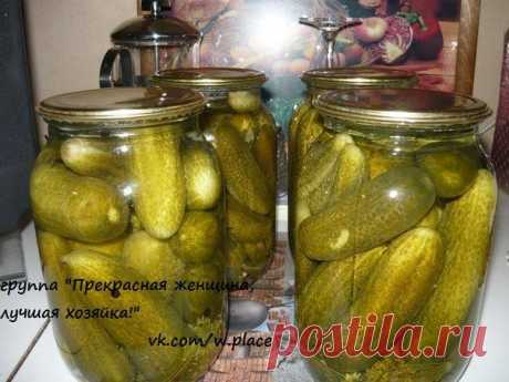 &gt;Огурцы из под крана.
