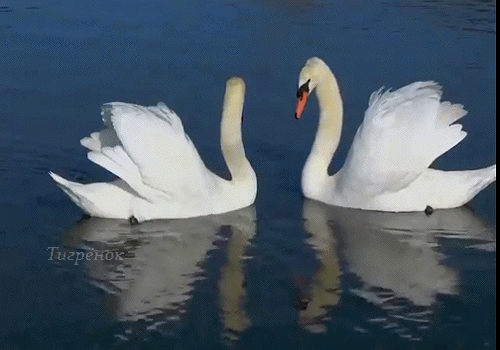 Мой Мир@Mail.Ru