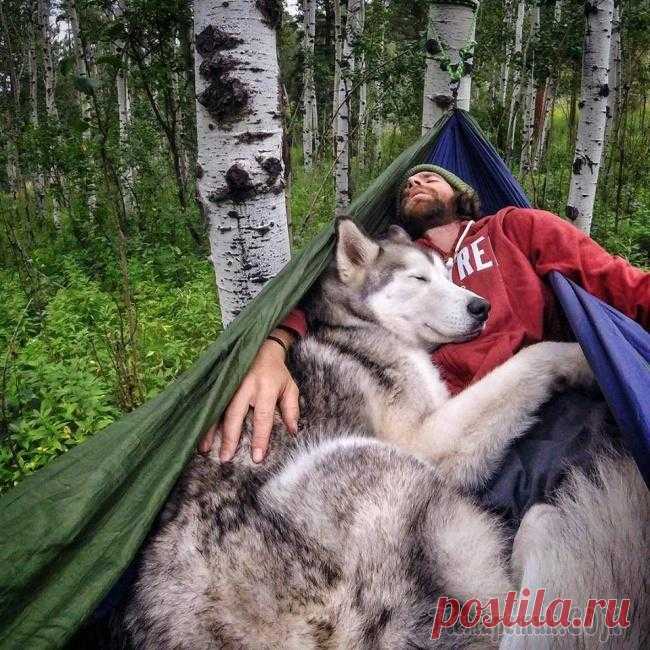 Самые добрые и теплые события 2015 года, которые умиляют до глубины души