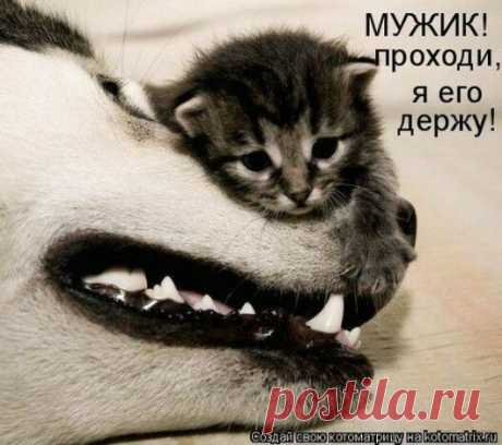 силач-смельчак