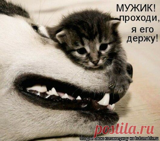 силач-смельчак