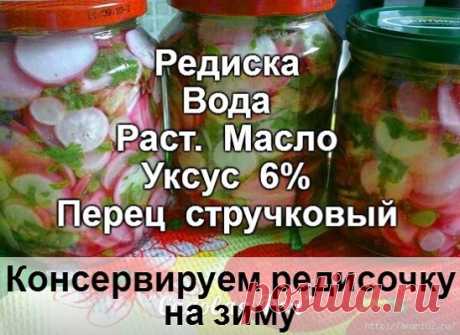 Редиска на зиму