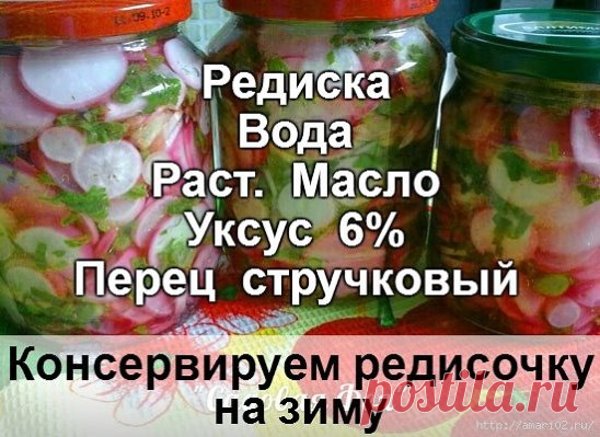 Редиска на зиму