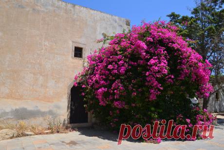 Фото монастырь ТОПЛУ. Альбом ВОСТОЧНЫЙ КРИТ - 50 фото. Фотографии НИКОЛАЙ БАРАНОВ.