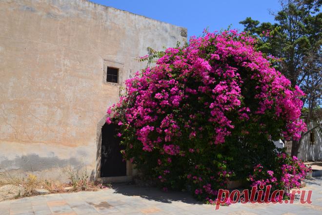 Фото монастырь ТОПЛУ. Альбом ВОСТОЧНЫЙ КРИТ - 50 фото. Фотографии НИКОЛАЙ БАРАНОВ.