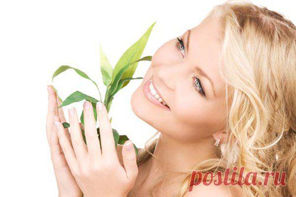 ~ГАРМОНИЯ ~ЗДОРОВЬЕ~ КРАСОТА~