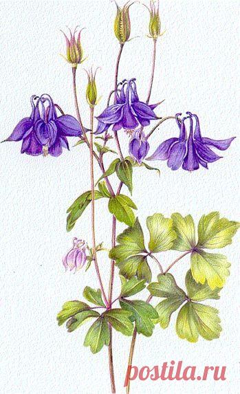 Pinterest: инструмент для поиска и хранения интересных идей