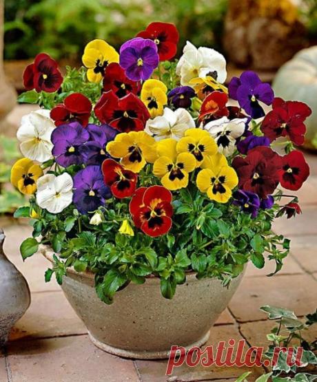 ....................