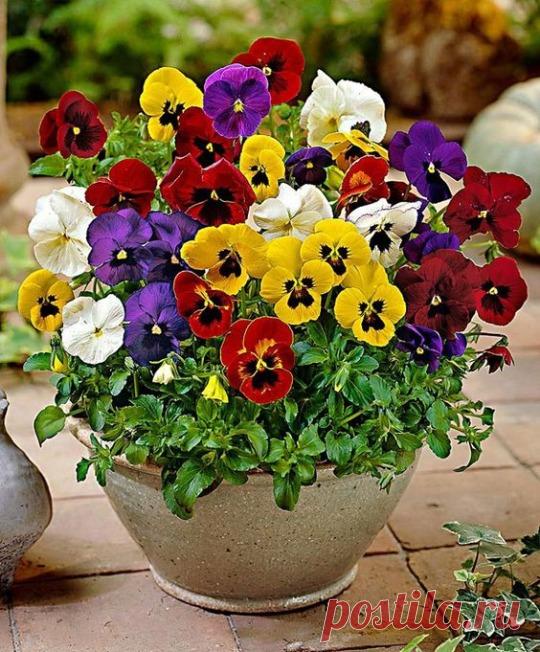 ....................