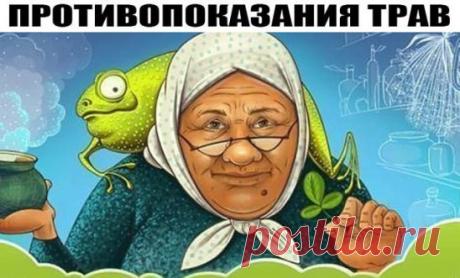 СЛУЧАИ ПРОТИВОПОКАЗАНИЯ ТРАВ!
Аир болотный – не рекомендуется применять его в терапии, если вы страдаете гастритом с повышенной секрецией соляной кислоты.
Арония (черноплодная рябина): противопоказана при язвенной болезни желудка и двенадцатиперстной кишки, гипотонии.
Барбарис – нельзя употреблять настойку барбариса при климаксе и беременности.
Береза белая – настой из березовых почек нельзя использовать при заболеваниях почек.
Бессмертник песчаный – противопоказан при гип...