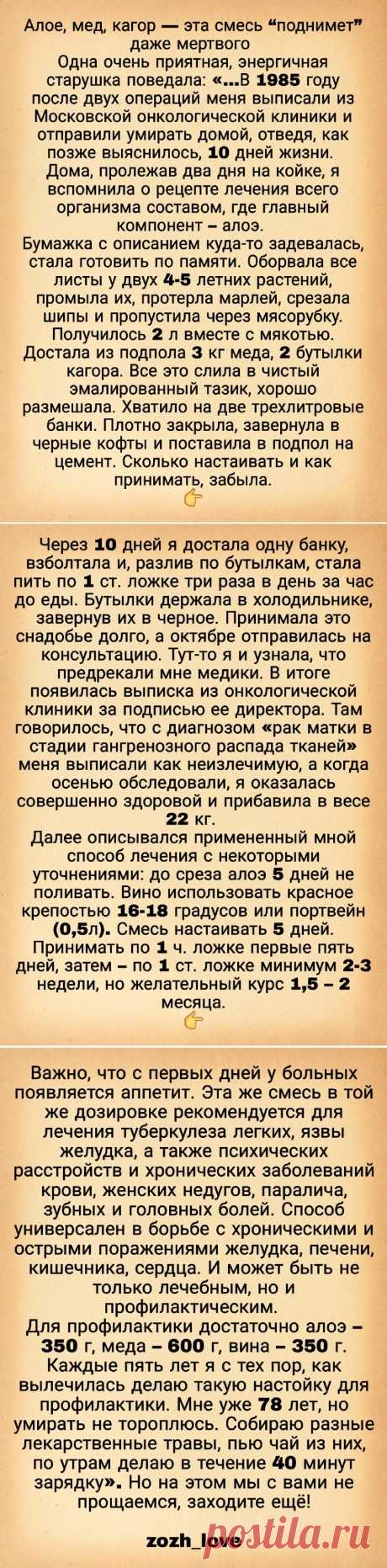 Алоэ, мед и кагор от онкологии