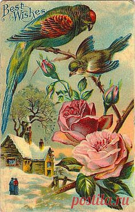 Hanneke Verstraate приколол(а) это к доске PRINT.......♥