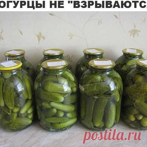 Любопытный способ засолки огурцов  "И огурцы не взрываются"