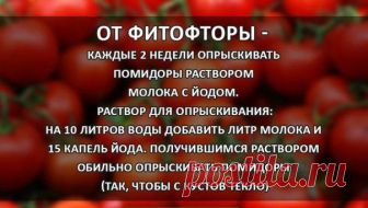 Без комментария