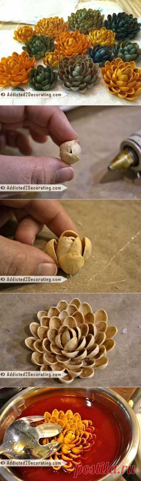 Фисташковые цветы | Мир женщины