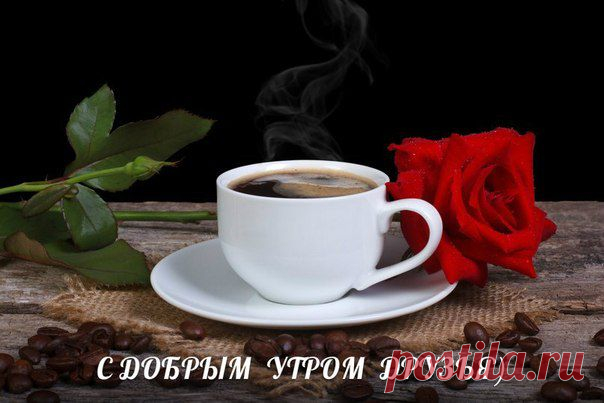 хх