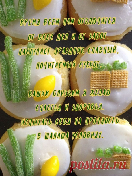 С Суккотом, праздником Кущей!