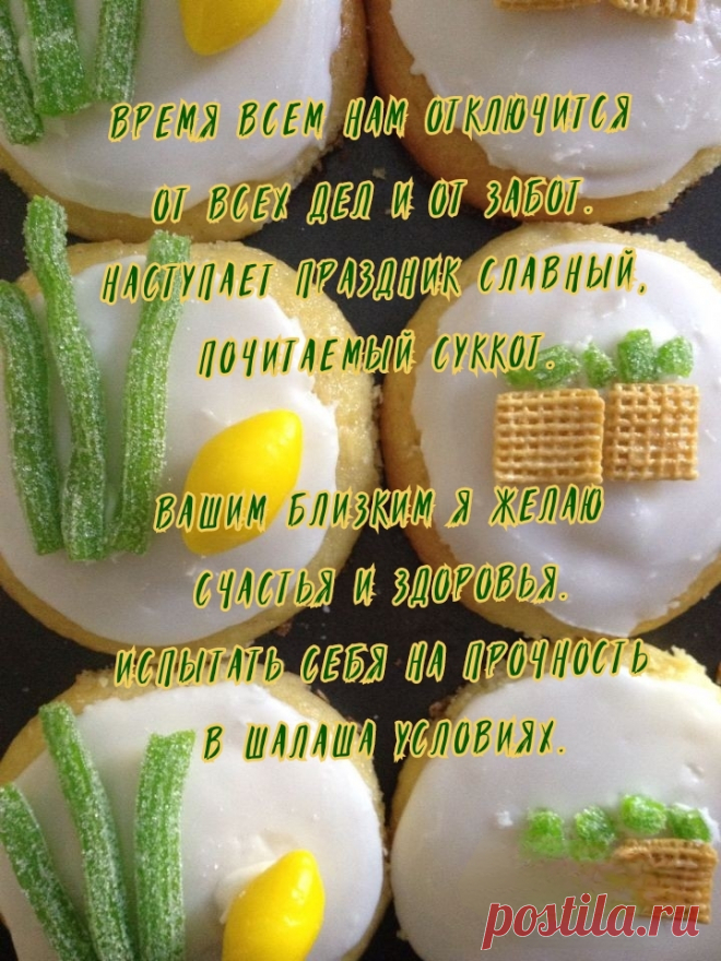 С Суккотом, праздником Кущей!