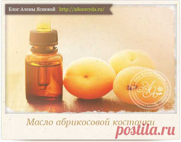 Применение абрикосового масла для кожи и волос - рецепты и советы