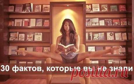 Маргарита Петлина
