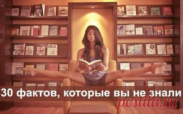 Маргарита Петлина