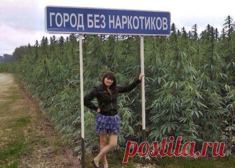 Юмористика • 18+