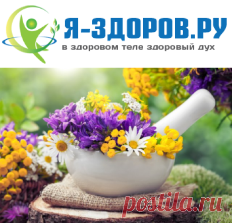 Лечение Почек Народными Средствами