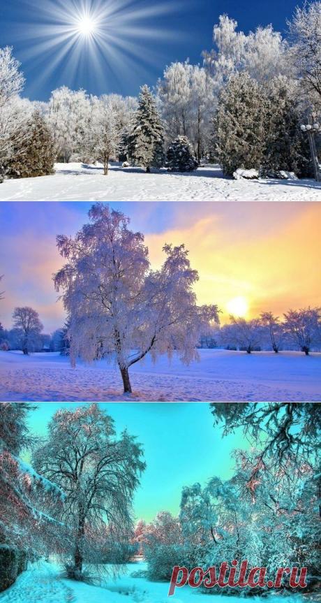 Восхитительные зимние пейзажи под голубыми небесами
