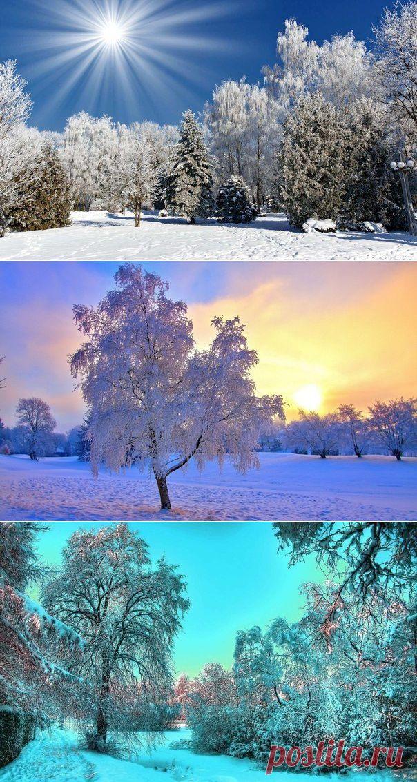 Восхитительные зимние пейзажи под голубыми небесами