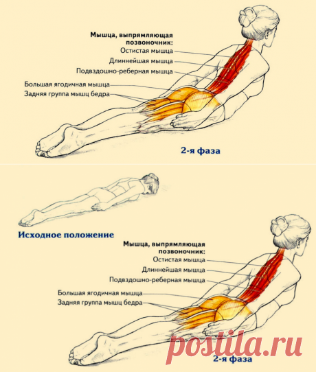 Всего одно упражнение для королевской осанки