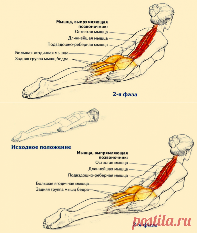 Всего одно упражнение для королевской осанки