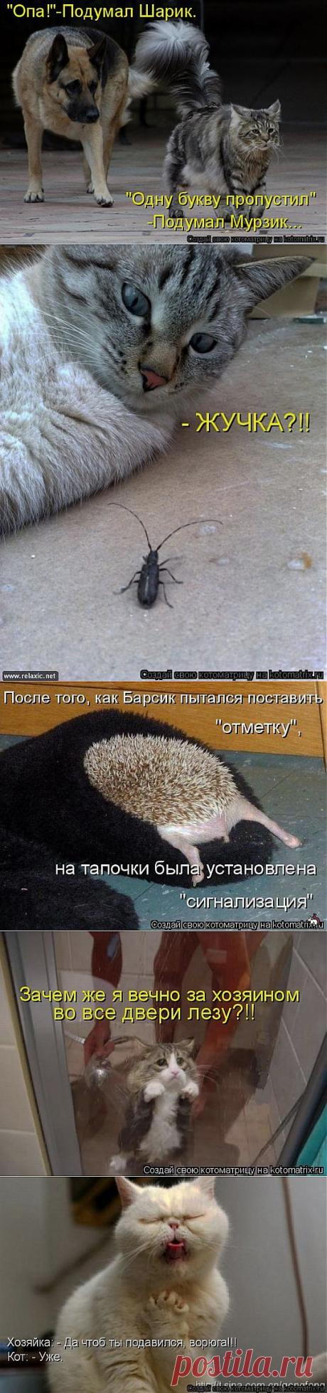 (+1) тема - Все. Нафиг политику. Отвлекитесь))) | ОБОРЖАКА ;)