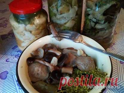 Как солить волнушки в домашних условиях – все способы  | Проверенные рецепты