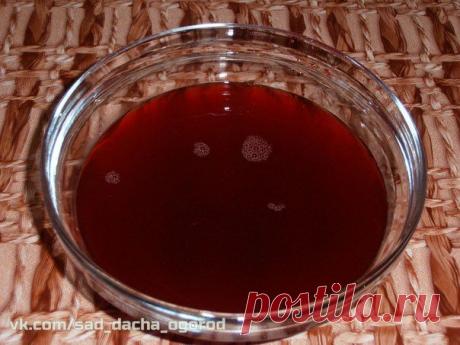 ОЧИЩЕНИЕ ЖЕЛЧНОГО ПУЗЫРЯ