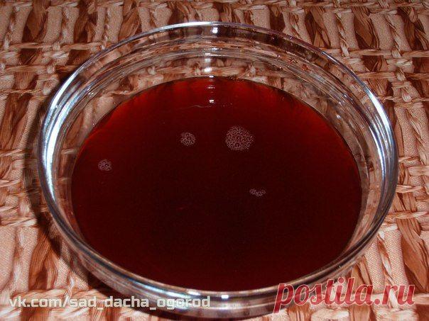 ОЧИЩЕНИЕ ЖЕЛЧНОГО ПУЗЫРЯ